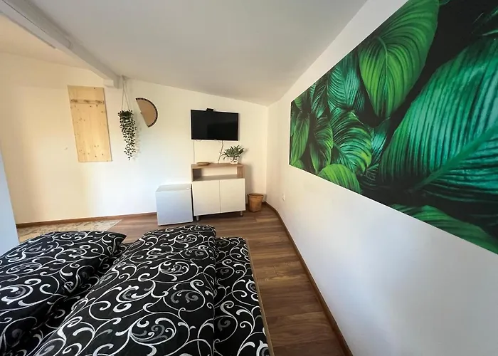 The Rainbow 7 ソフィア